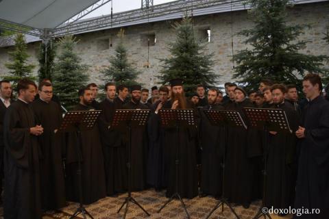 Foto: Constantin Comici