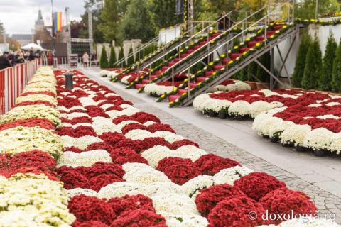 Florile Sfintei Parascheva – jertfă de frumusețe și credință, în lumina Sfântului Grigorie Palama / Foto: pr. Silviu Cluci